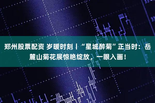 郑州股票配资 岁暖时刻丨“星城醉菊”正当时：岳麓山菊花展惊艳绽放，一眼入画！